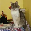 Отзыв от Альбина Кочетова